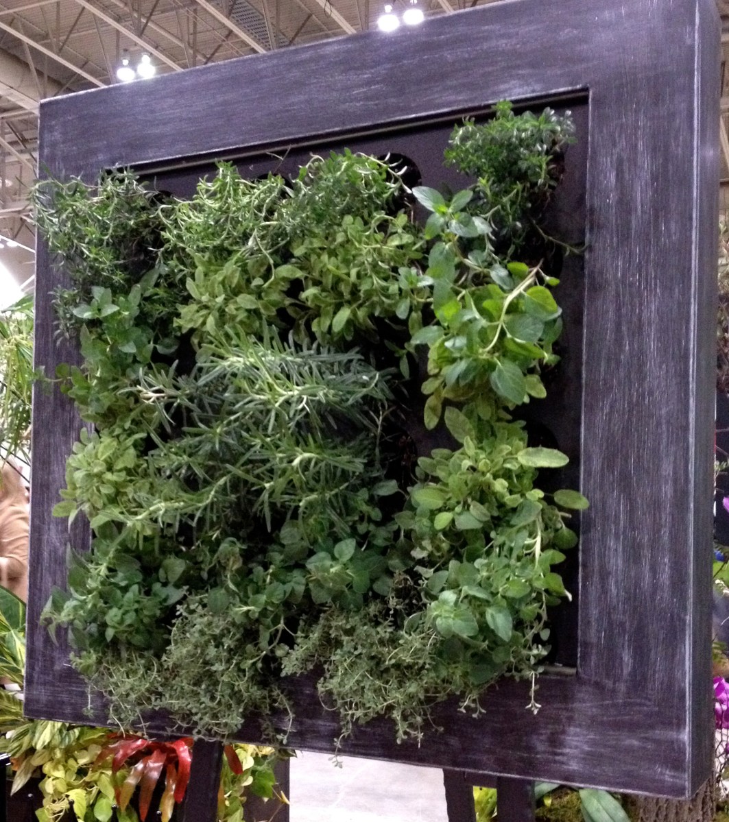 Herbs grown vertically in frame.