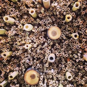 Bee and bug nest idea