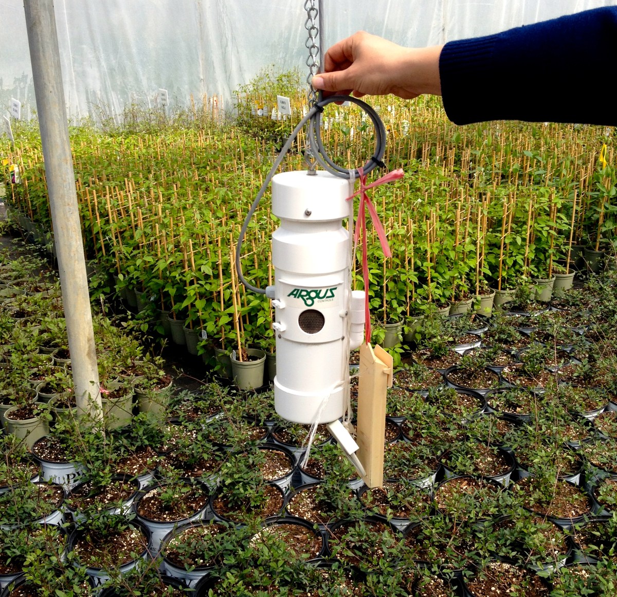 Humidity regulator in a commercial greenhouse