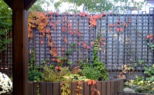 Trellis with top edging.