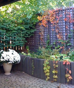 Trellis from another angle