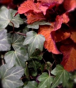 Leaves in a container