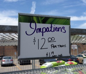 Sale sign for impatiens