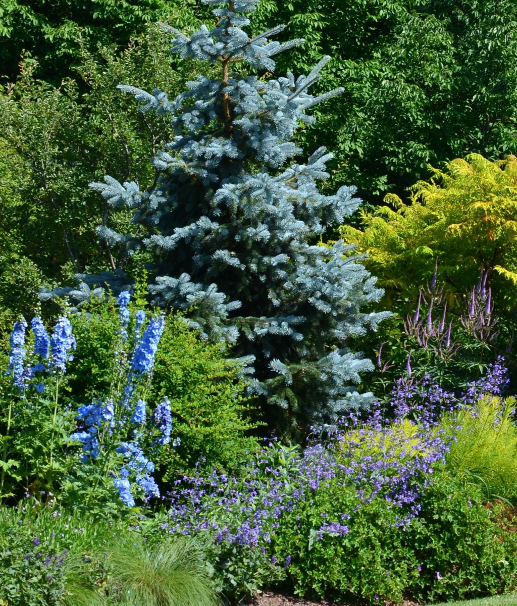 A border in blue tones