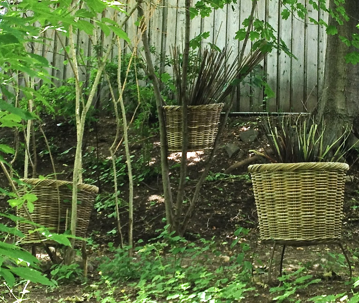 Basket in fork of branches