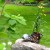 Garden tchotchkes