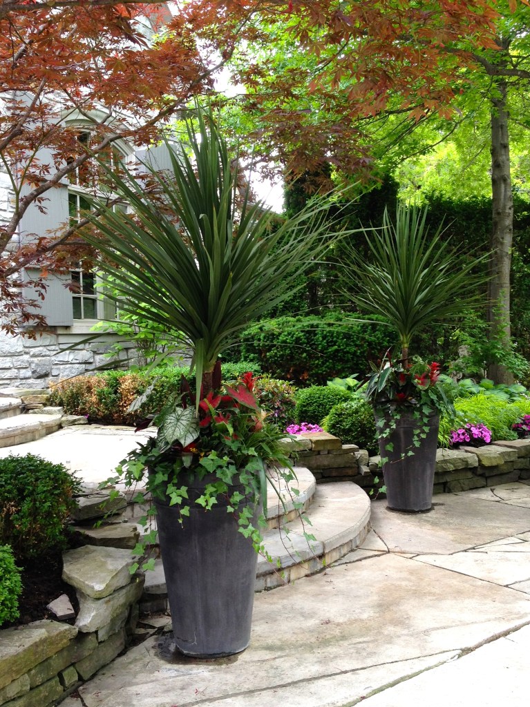 Palms, begonias and ivy.