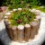 Log planter