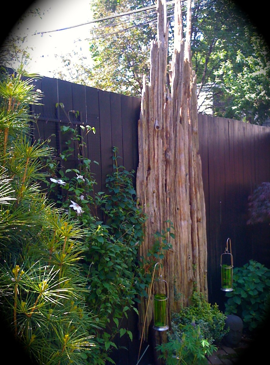 Wood as sculpture on fence