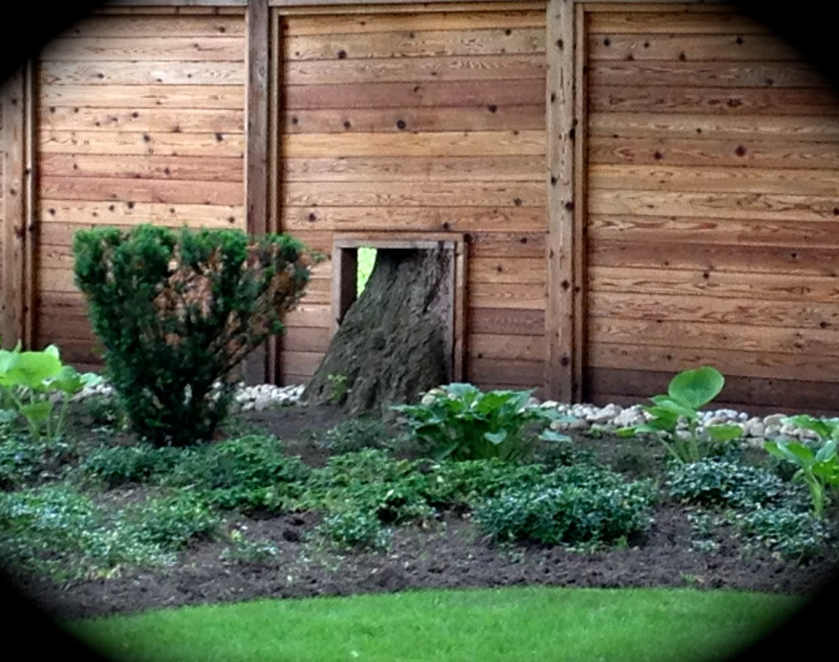 Fence with tree trunk