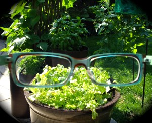 Glasses and vegetables