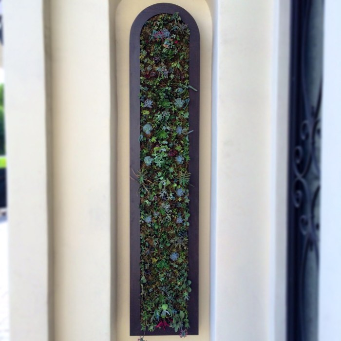Succulent Living Wall (1)