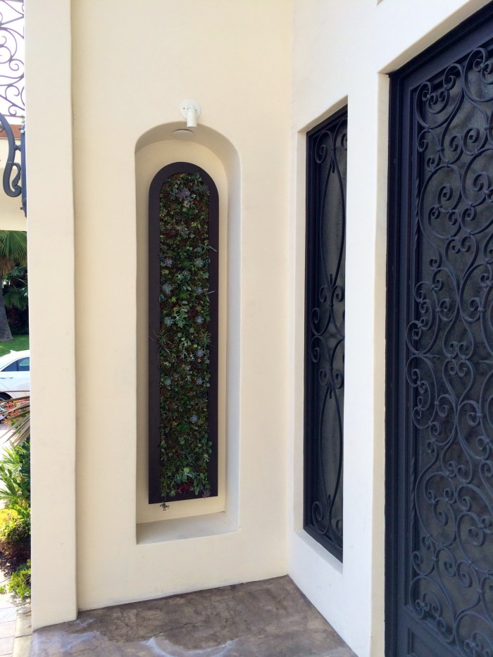 Succulent Living Wall (2)