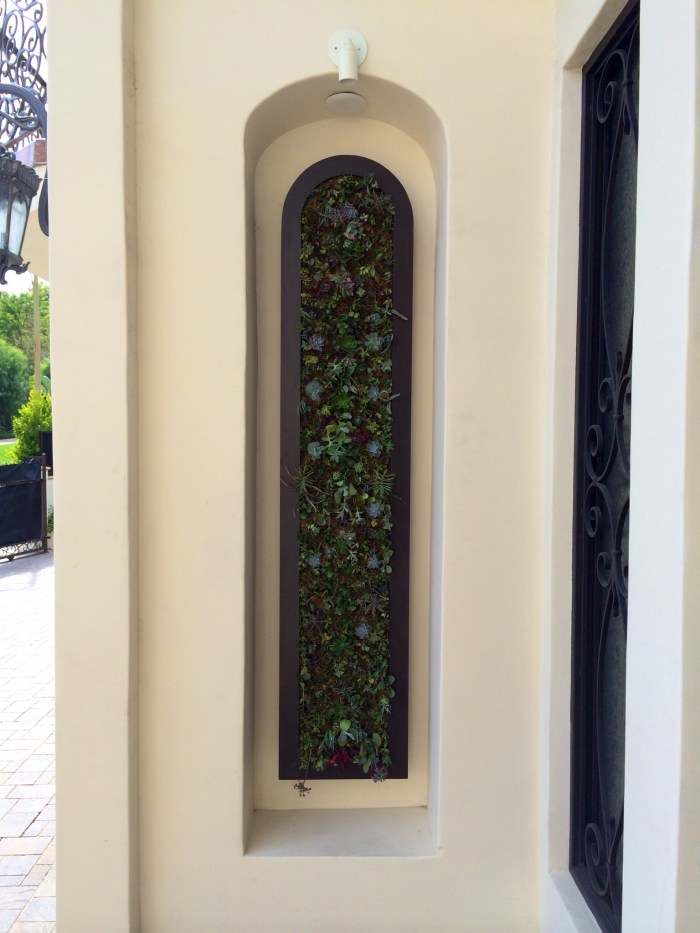 Succulent Living Wall (3)