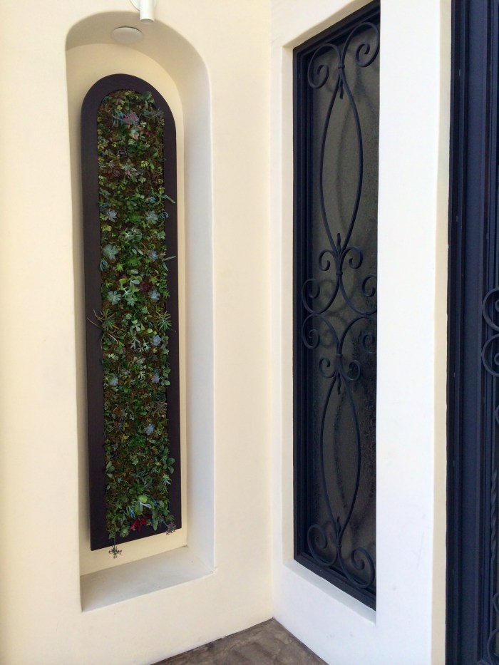 Succulent Living Wall (4)