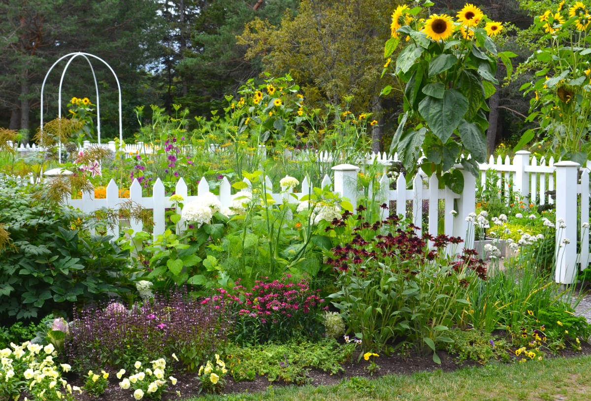Potager at Reford Gardens