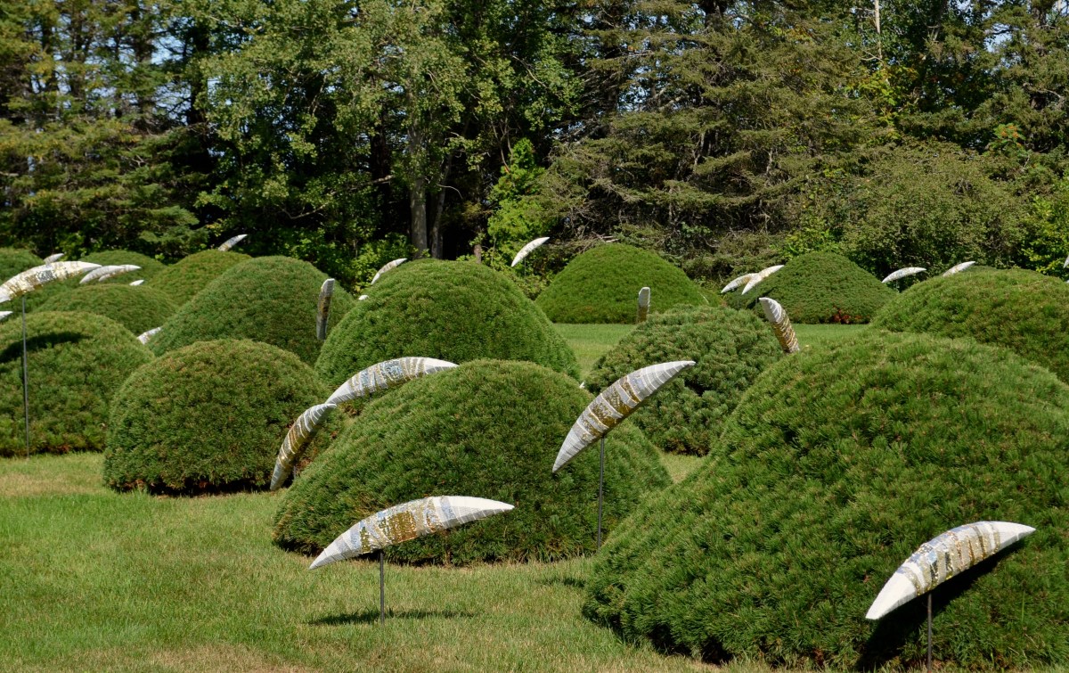 Salmon sculptures and pine bushes