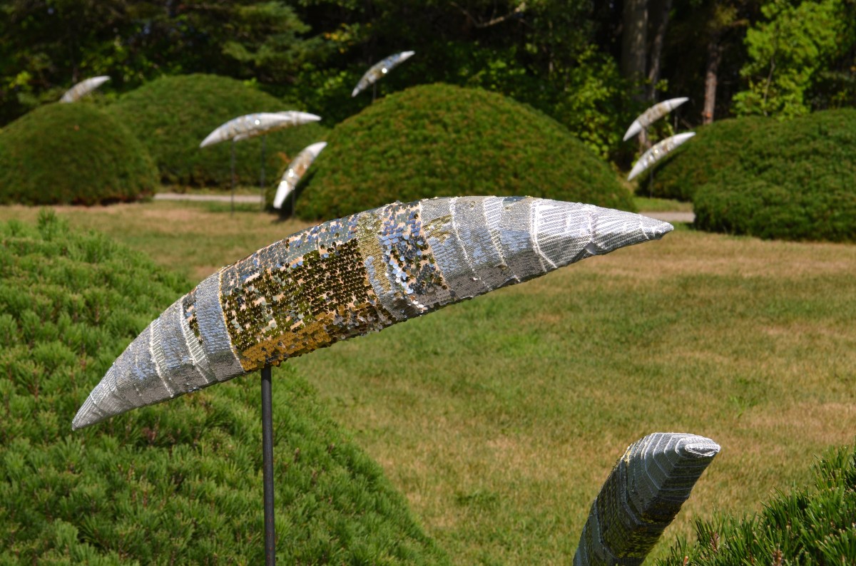 Close up sequin salmon