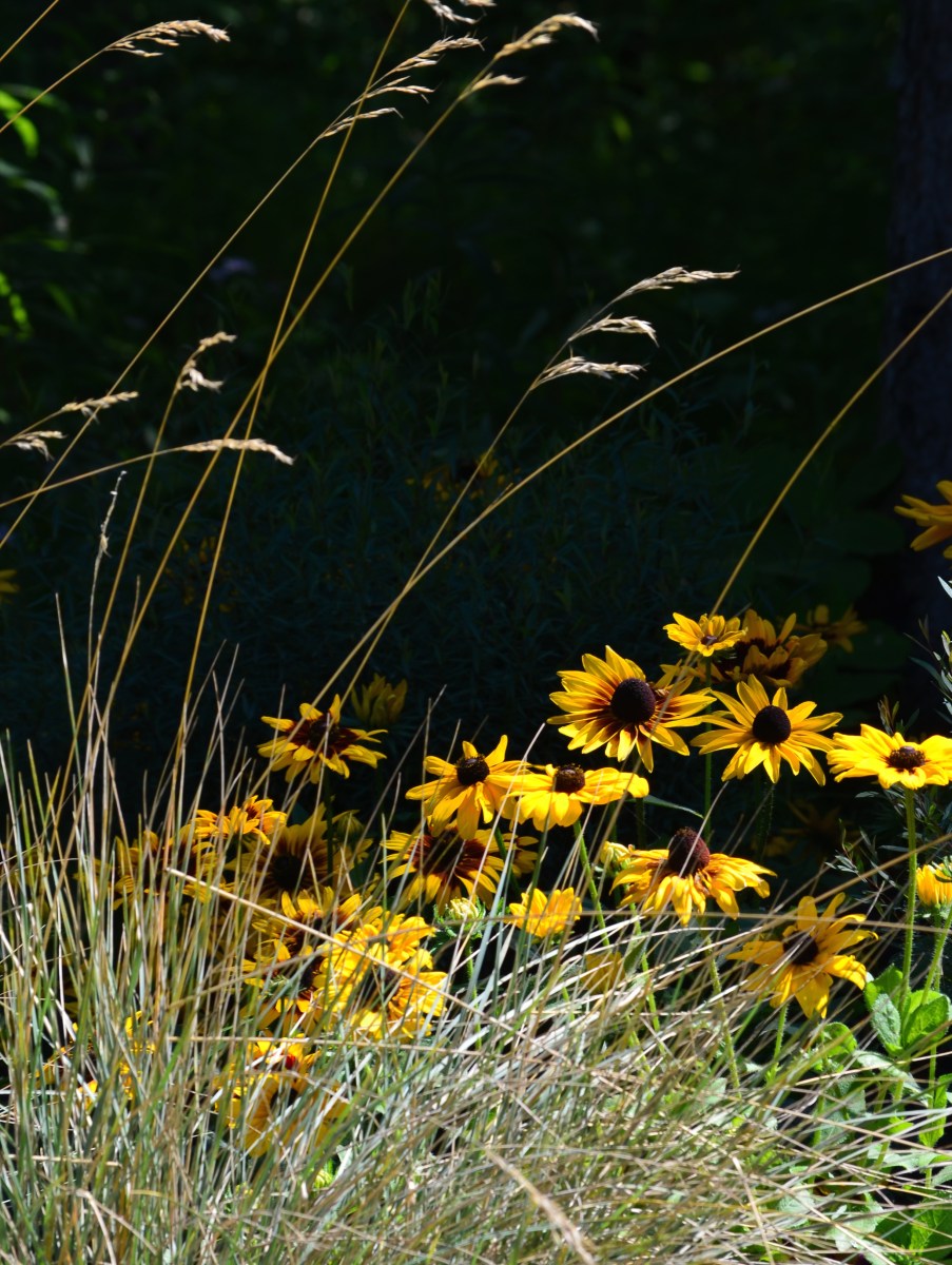 Gold flowers and grass