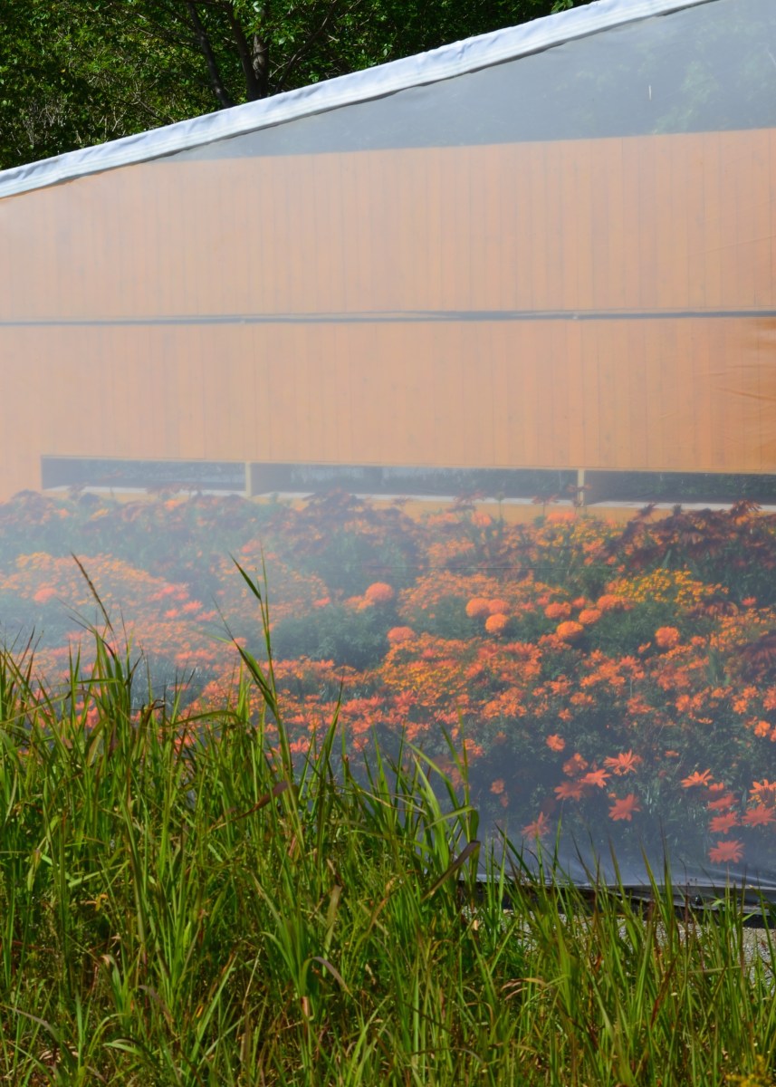 Detail of Secret Orange exhibit