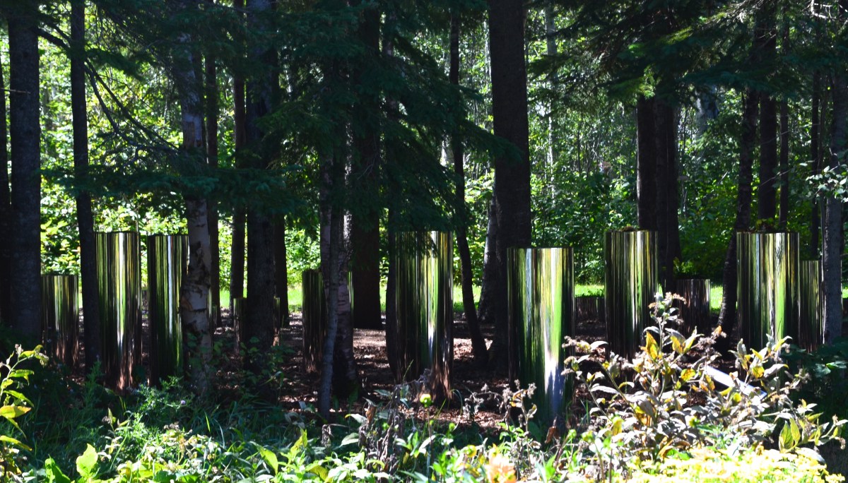 Reflective containers in forest