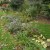 Ditch planted with ornmentals