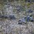Soil and rocks