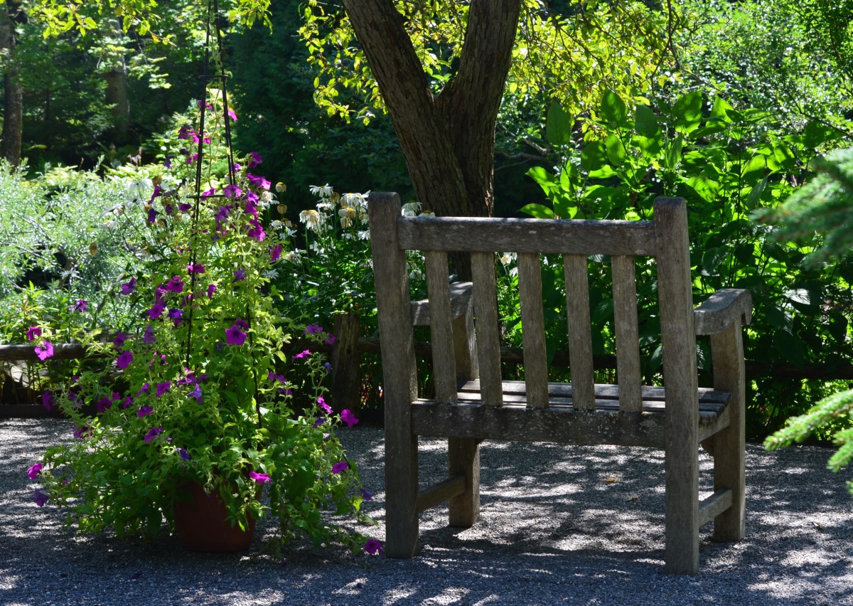 Portrait of a healthy garden
