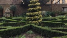 Interior, Knot Garden