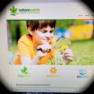 Home page NatureWatch