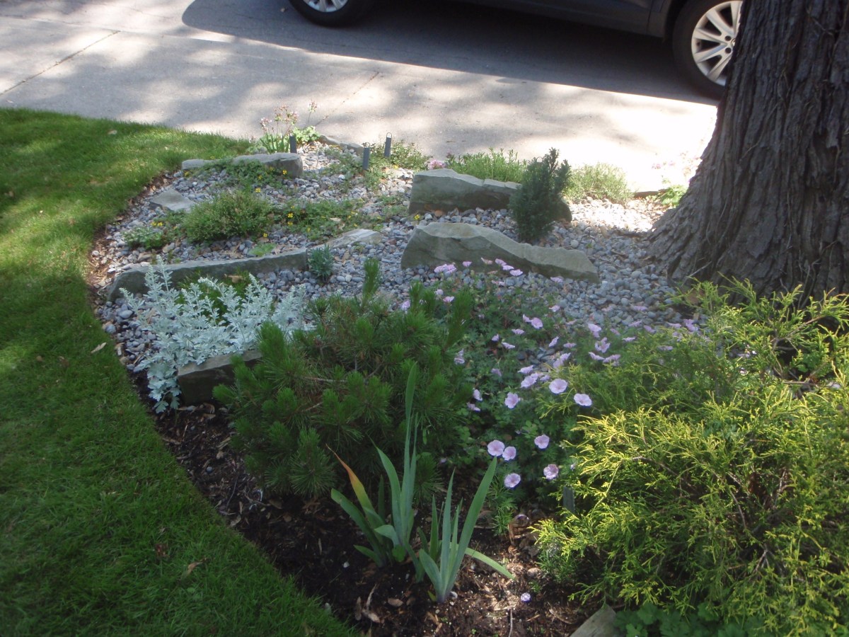 Rock garden and sidewalk