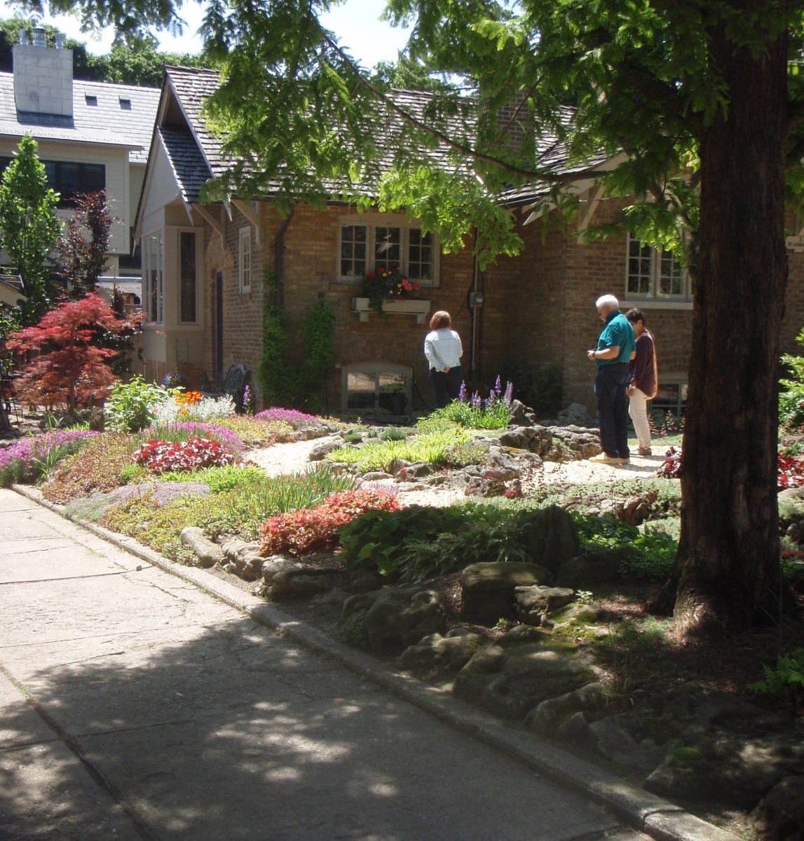 Front garden with paths