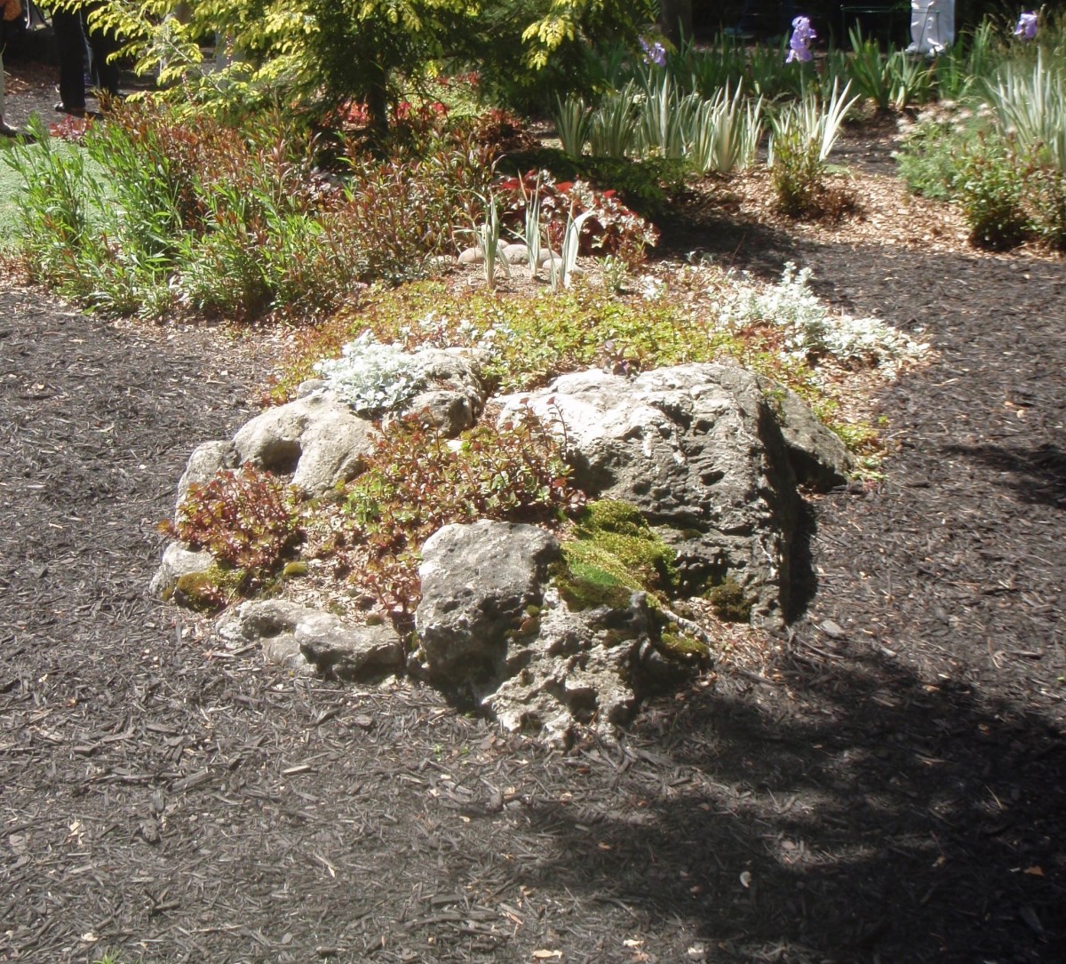 Rock gardens