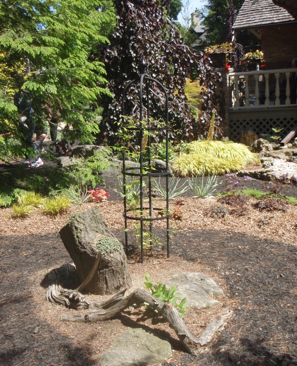 Trellis in front yard