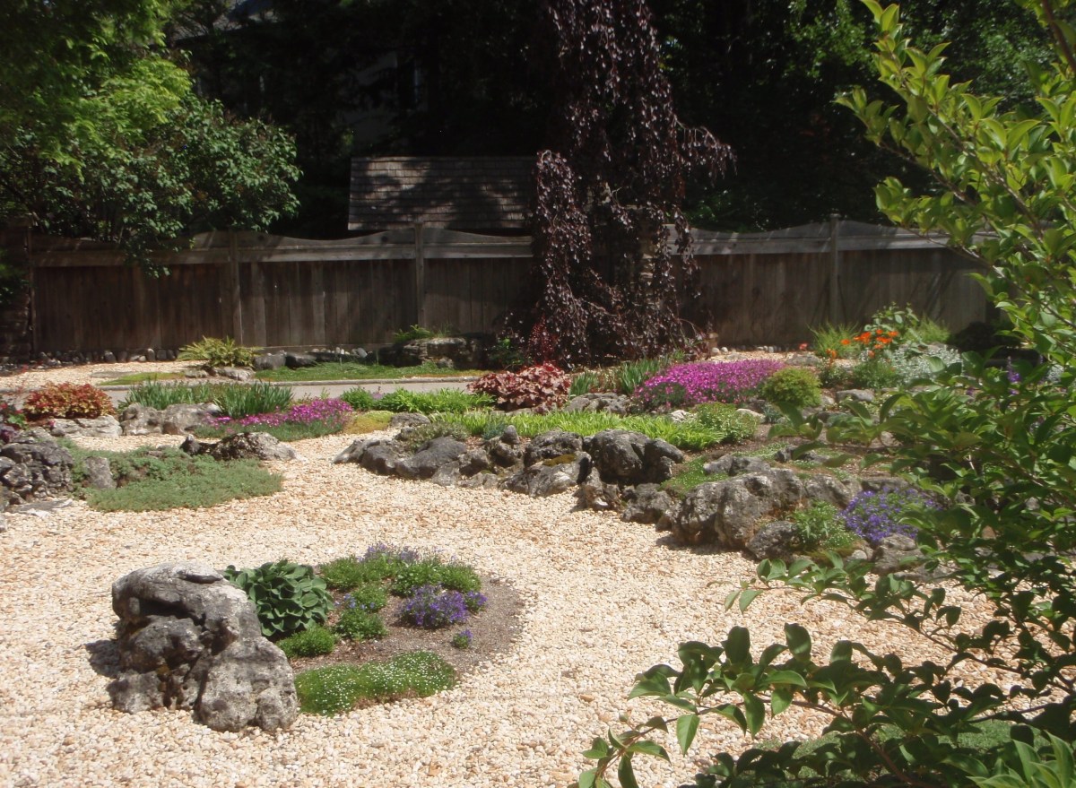 Path and rock gardens