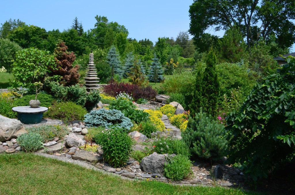 Shrubs and perennials