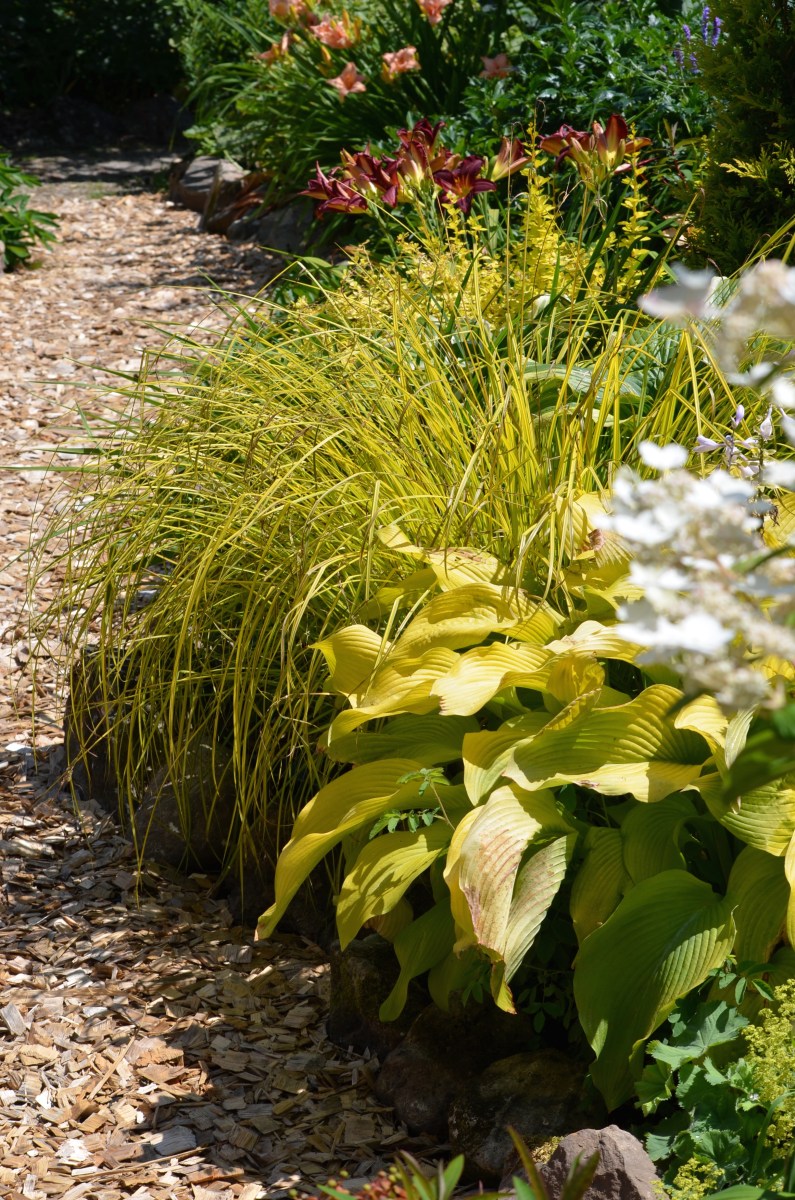 Green and gold flowerbed