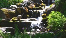 Water fall
