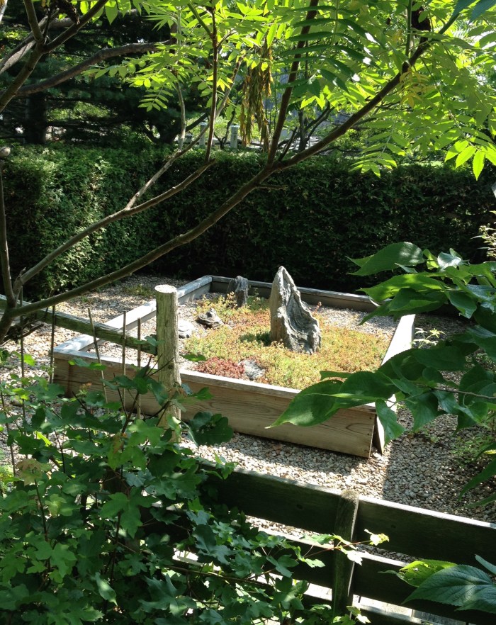 Zen garden