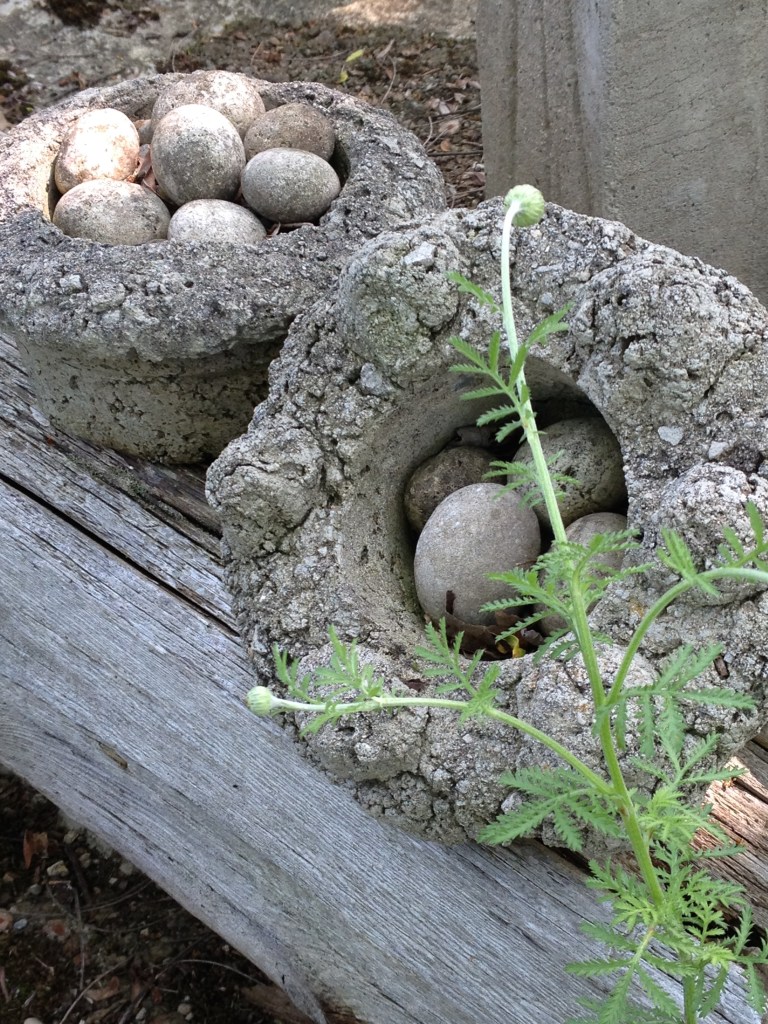 Stone nests
