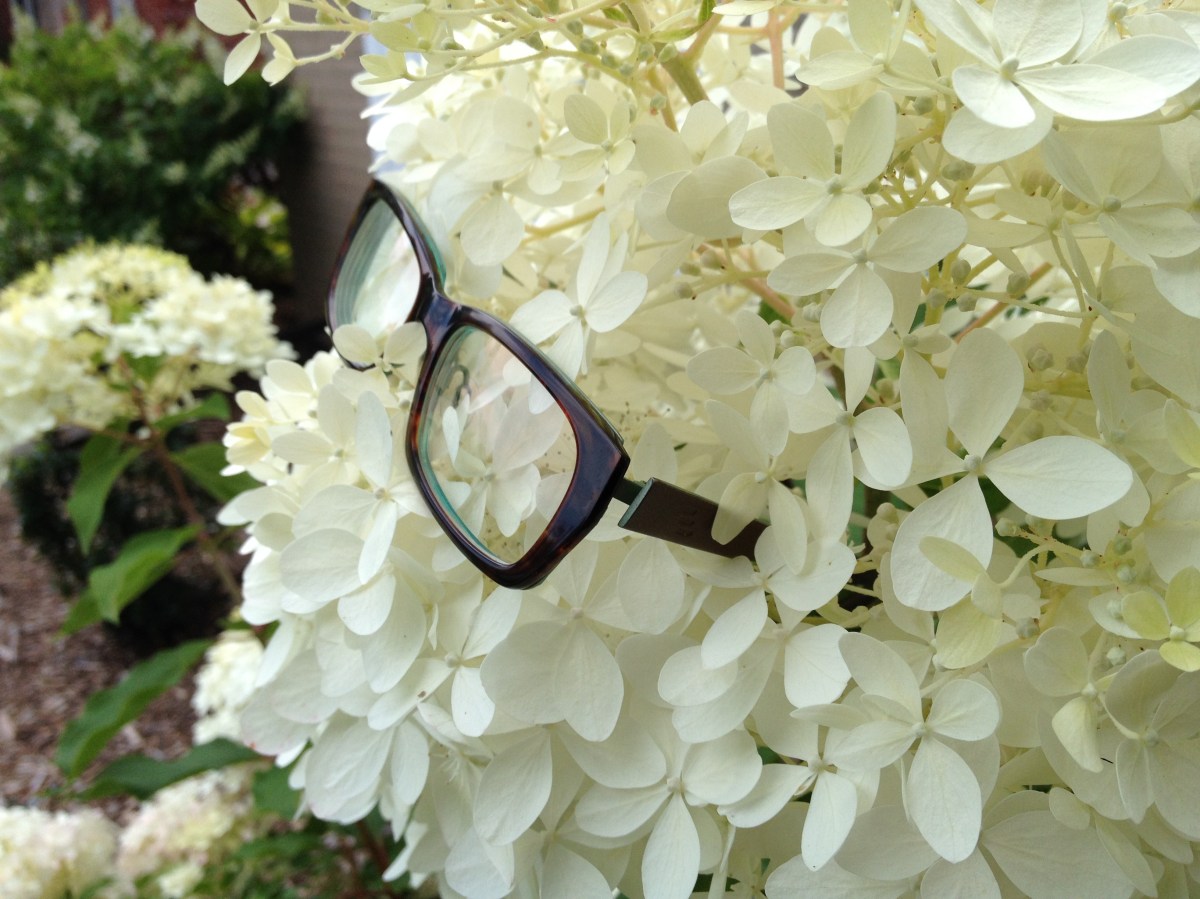 Flower and glasses