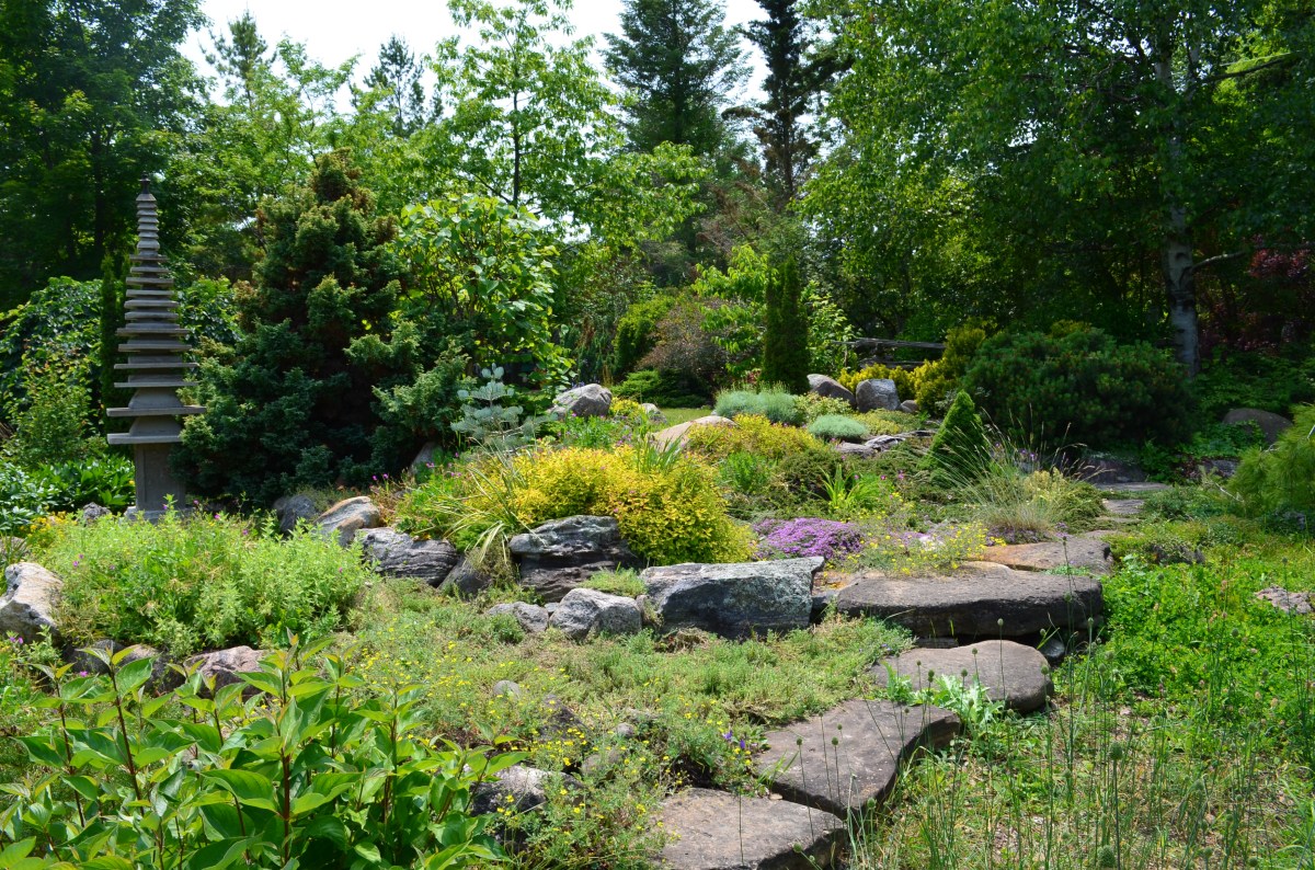 A garden showing a wide variety of perennials, shrubs and trees.