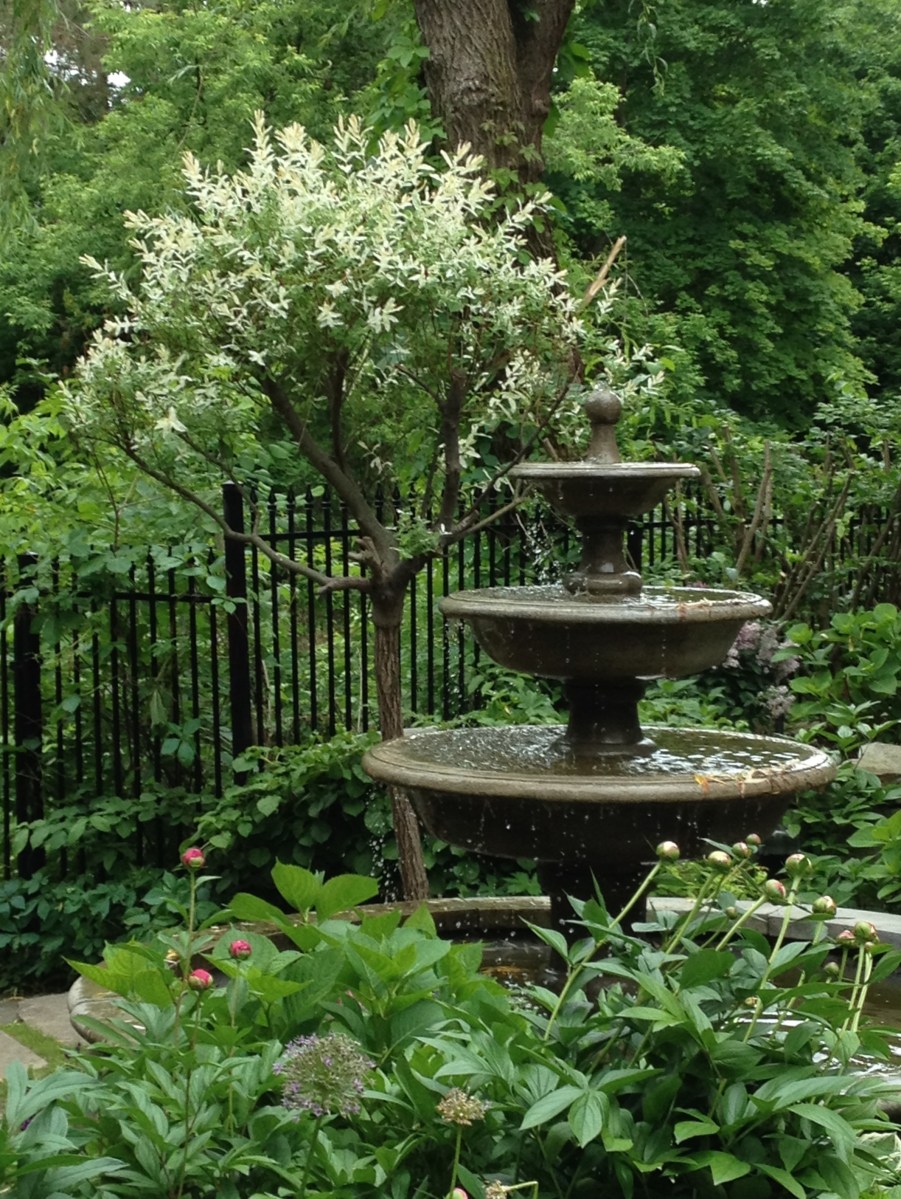 A lush garden with plants of various heights.
