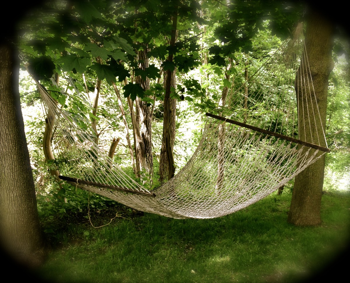 A rope hammock in the shade of trees.