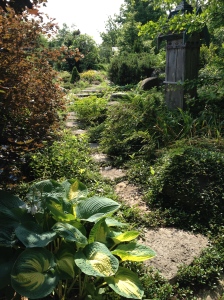 A stepping stone path leads through a lush garden.