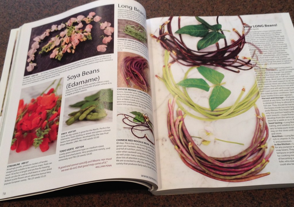 Pages showing long beans