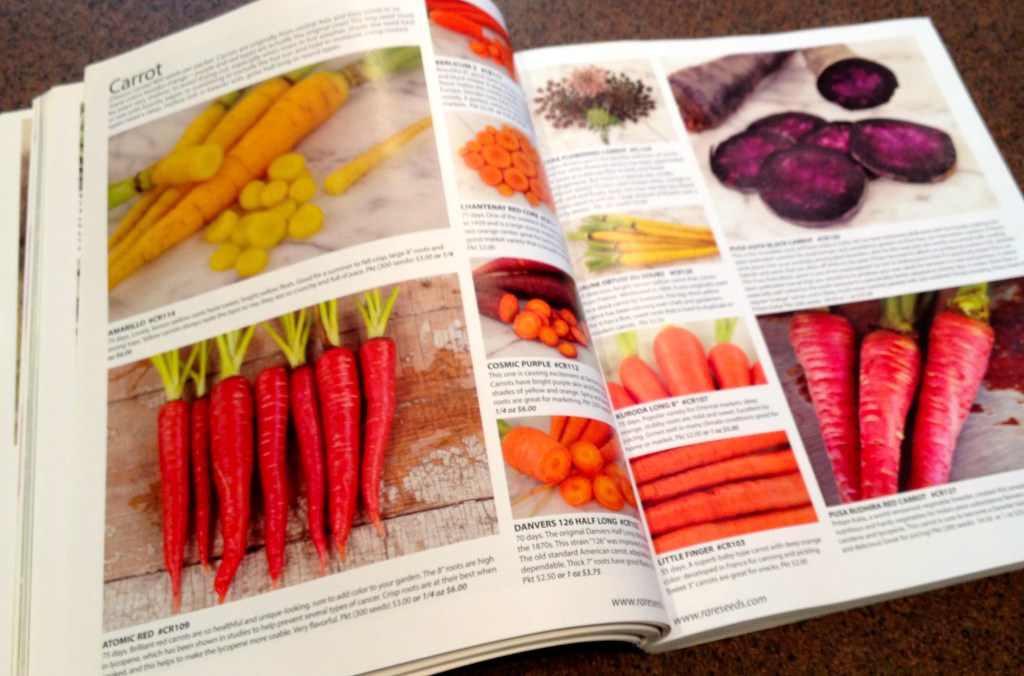 Pages showing carrots