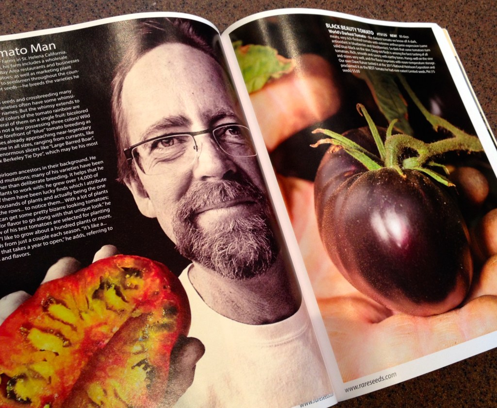 Editorial spread featuring unusual tomatoes