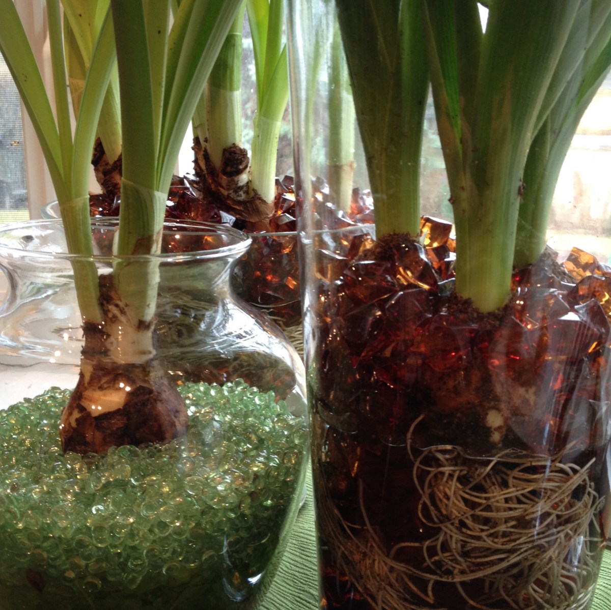 Brown and green beads with bulbs fill vases.