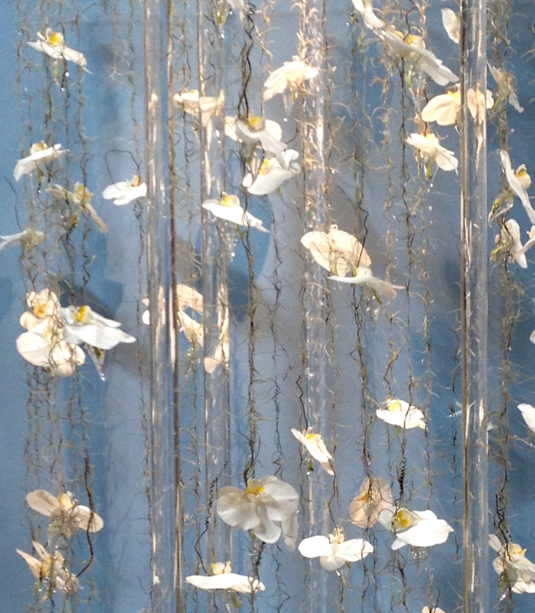 A floral design featuring white orchids and clear pipes of bubbling water.